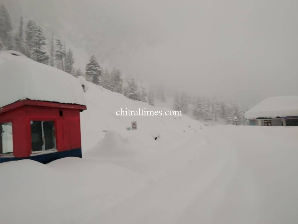 chitraltimes lowari snowfall2