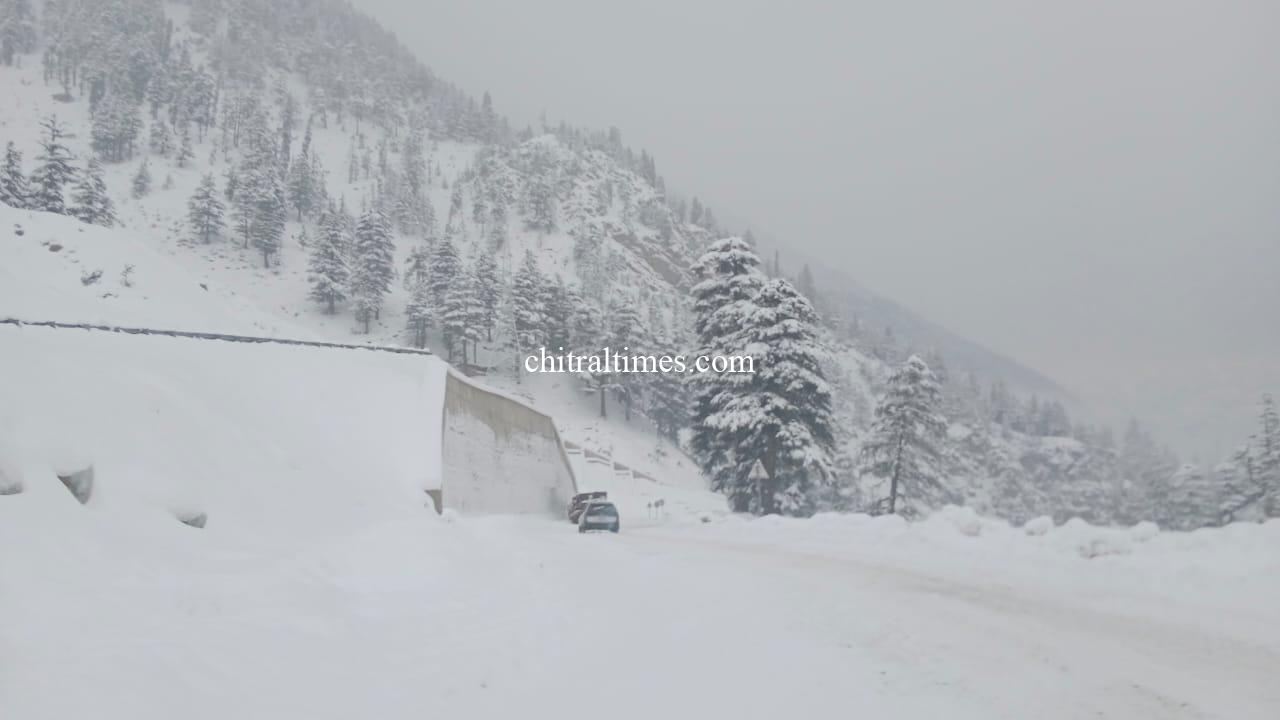 chitraltimes chitral snowfall jan 2023 1
