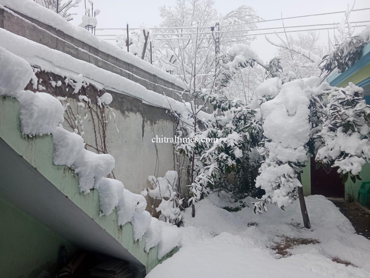chitraltimes chitral snowfall jan 2023 2