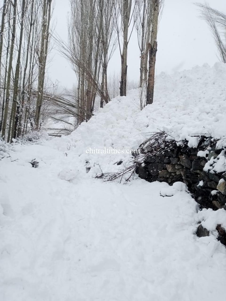 chitraltimes upper chitral snowfall and avalanch hit khot terich 6