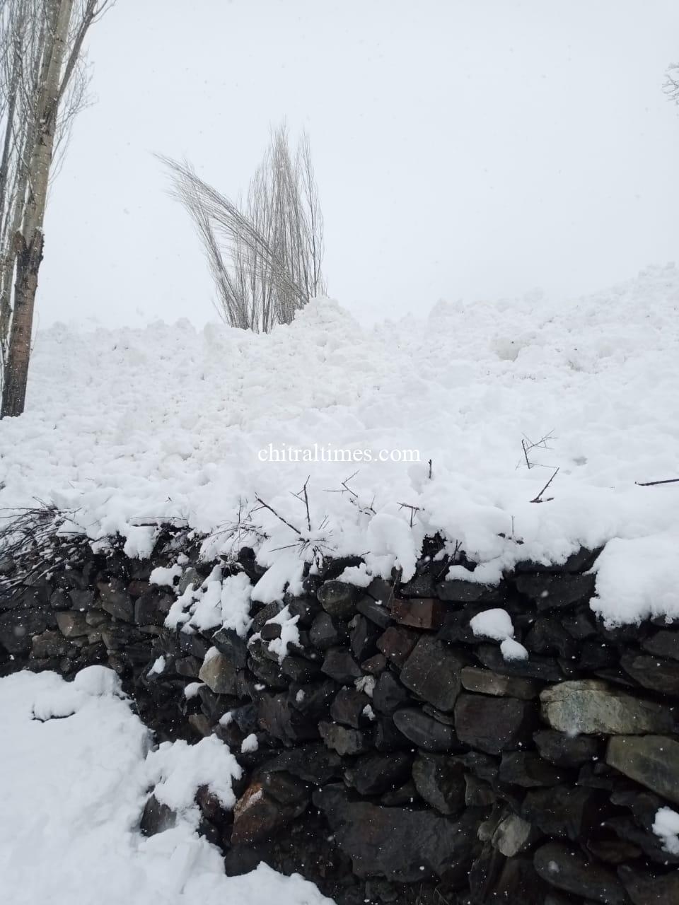 chitraltimes upper chitral snowfall and avalanch hit khot terich 7