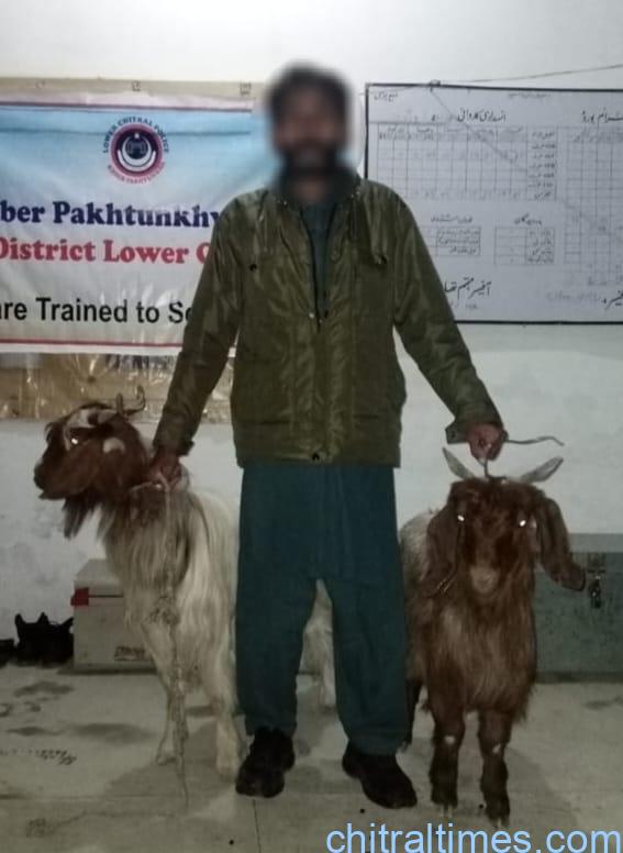 chitraltimes chitral police revocered stolen goats
