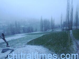 chitraltimes snowfall in terich upper chitral april 2023