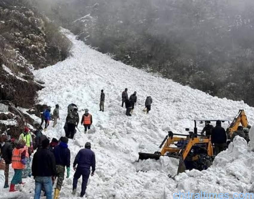 chitraltimes gb avalanch hit 10 dies 10 injured 2