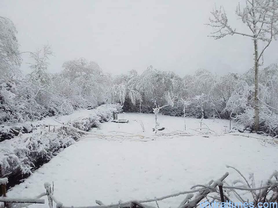 chitraltimes snowfall in upper chitral during May 4