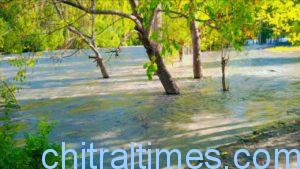 chitraltimes terich upper chitral flood