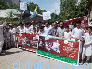 chitraltimes kashmir slidarity day upper 2