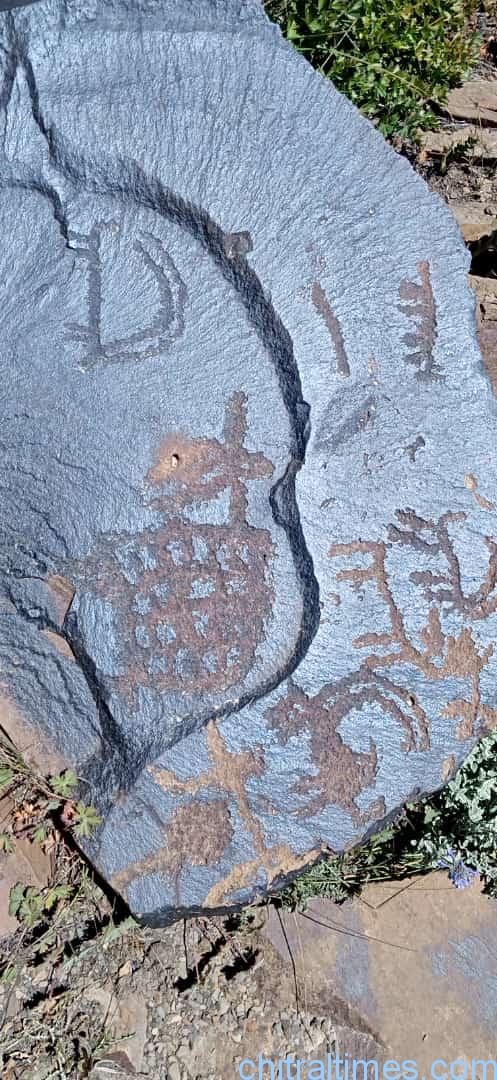 discoveries of fossils and ancient engraved stones in upper chitral 13