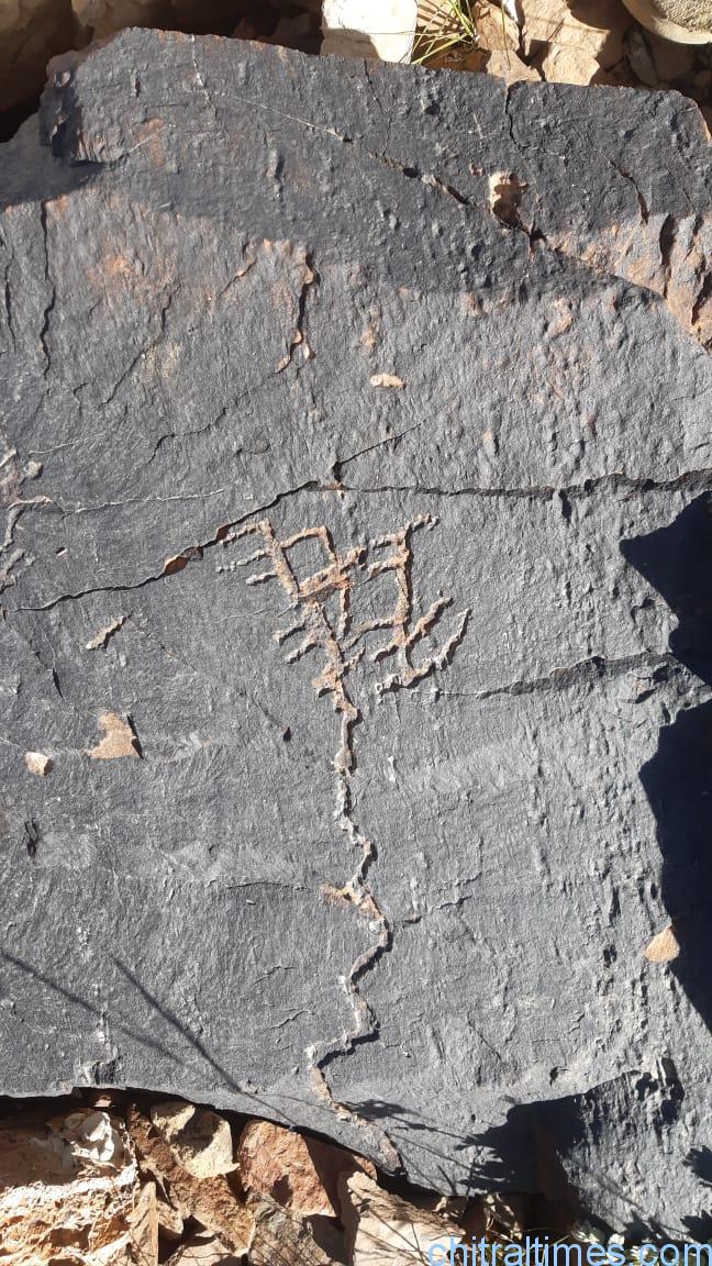 discoveries of fossils and ancient engraved stones in upper chitral 5