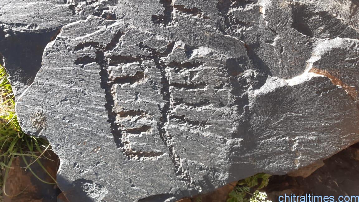 discoveries of fossils and ancient engraved stones in upper chitral 6