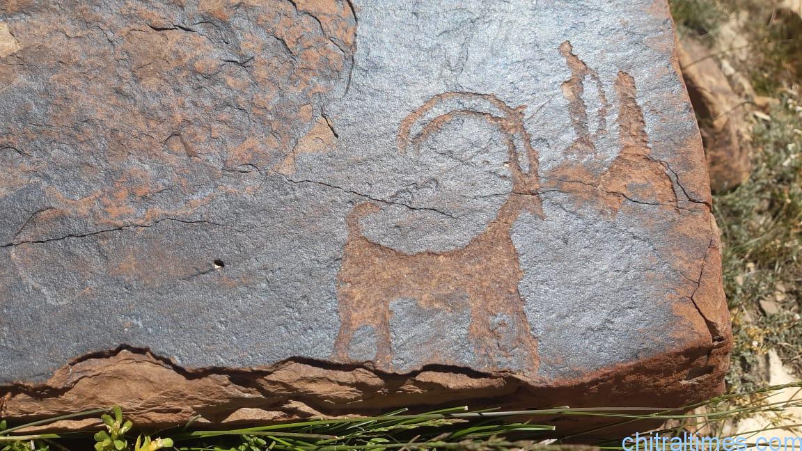 discoveries of fossils and ancient engraved stones in upper chitral 7