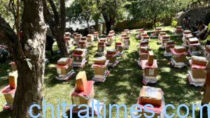chitraltimes helping hend relief distribution chitral 1