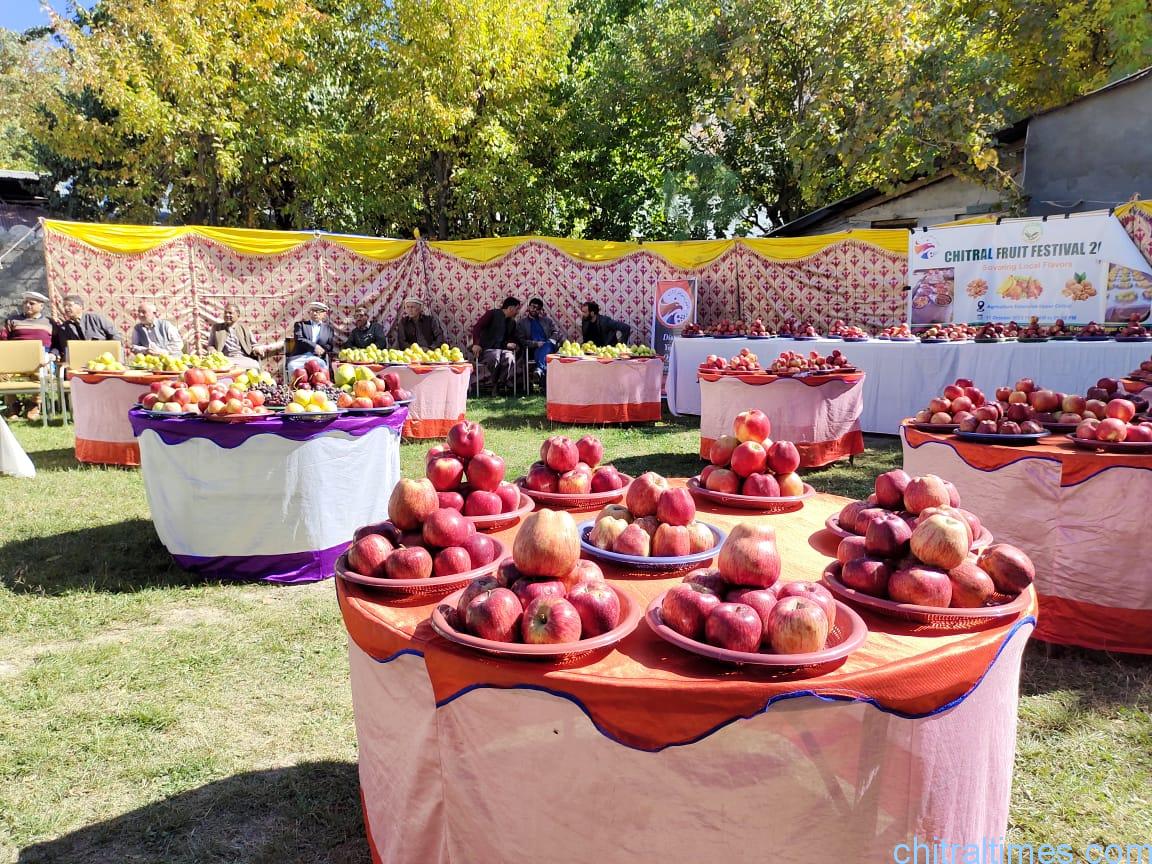 chitraltimes agriculture fruits exhibition upper chitral 8