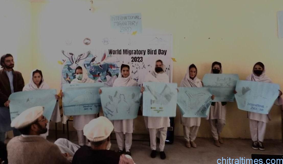 chitraltimes laspure migratory birds day observed in ghs laspure upper chitral 4ghs laspur