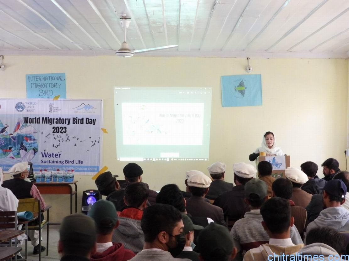 chitraltimes laspure migratory birds day observed in ghs laspure upper chitral 7