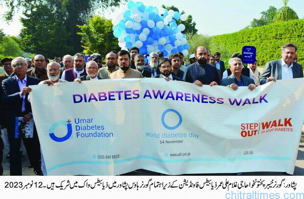 chitraltimes governor kp attended awarness walk on diabates 2
