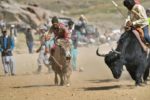 chitral old and new pictures broghil festival yak