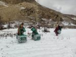 chitraltimes king salman relief distribution GB and balochustan 3