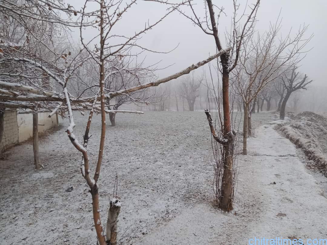 chitraltimes chitral weather snowfall upper chitral lowari 1