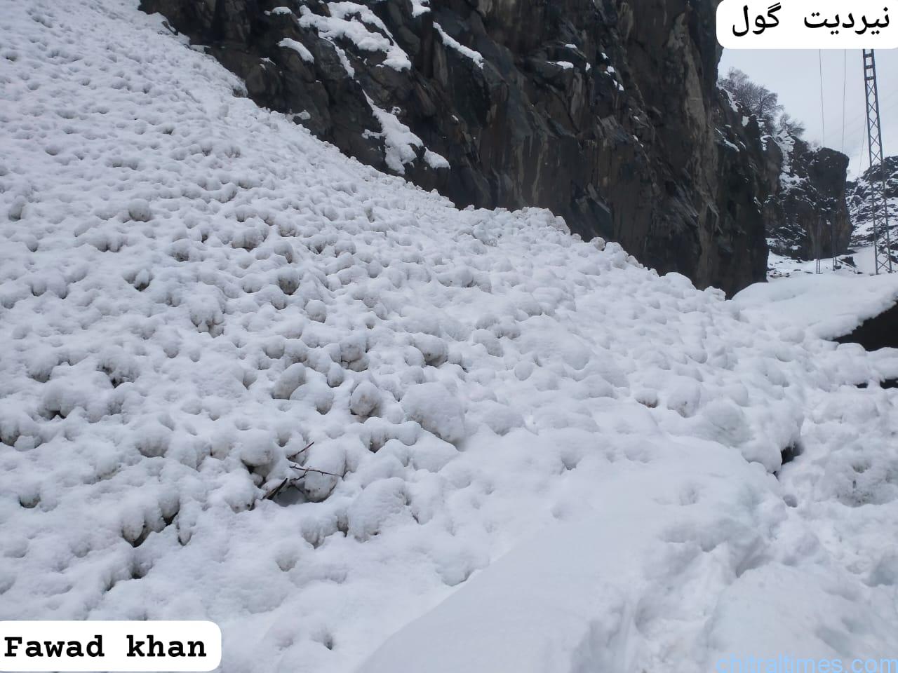 chitraltimes chitral snowfall and road blackages 3