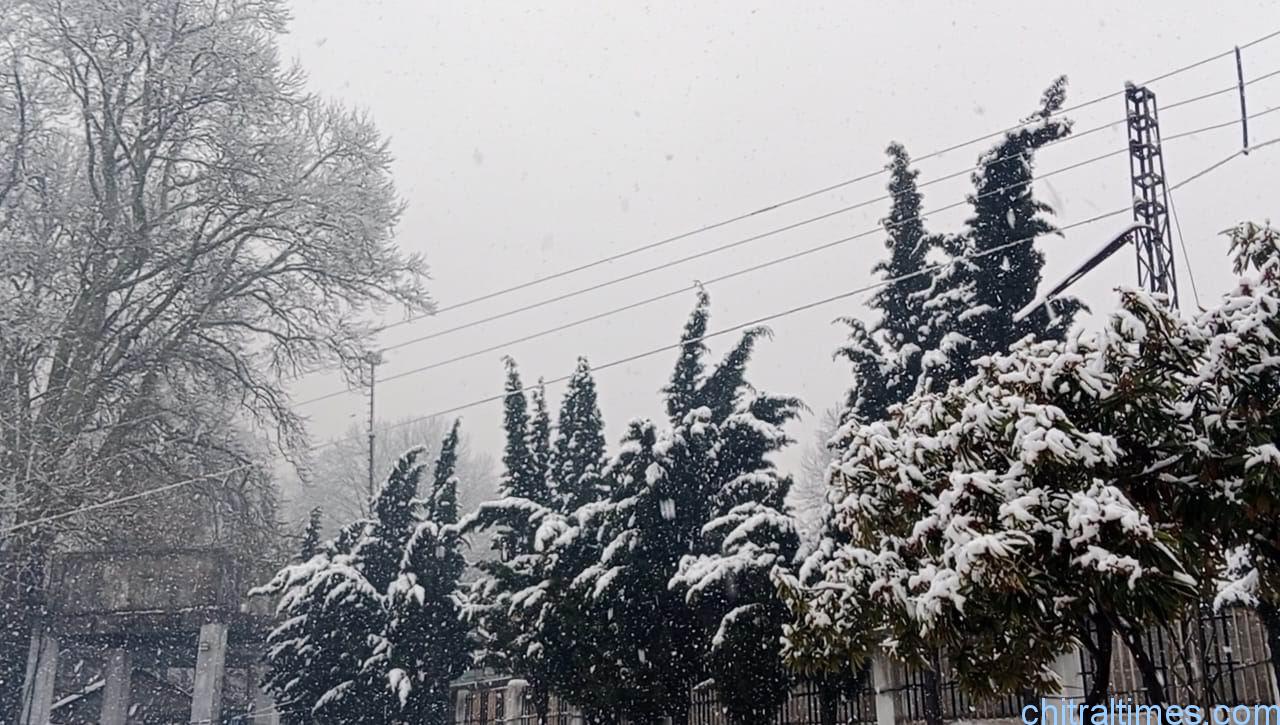 chitraltimes chitral town snowfall city