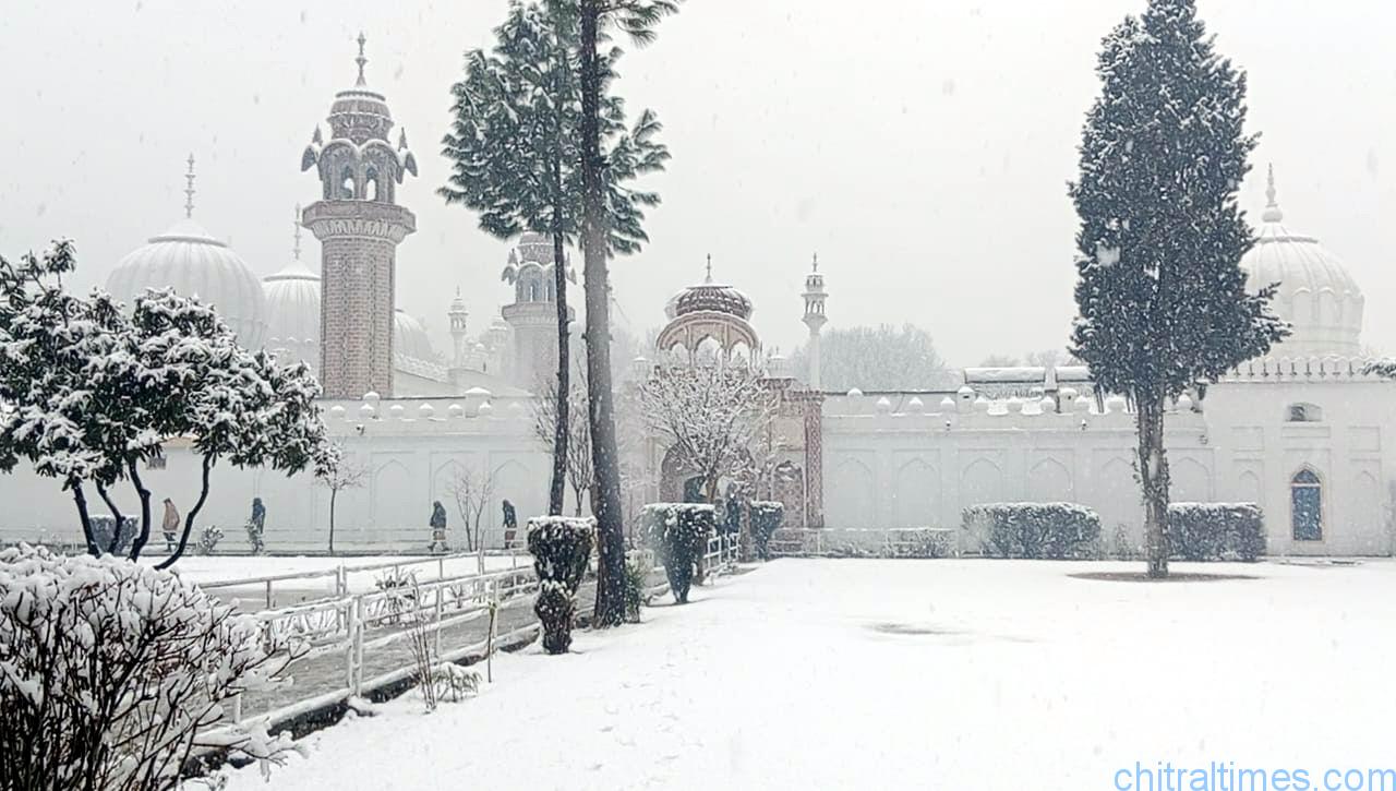 chitraltimes chitral town snowfall