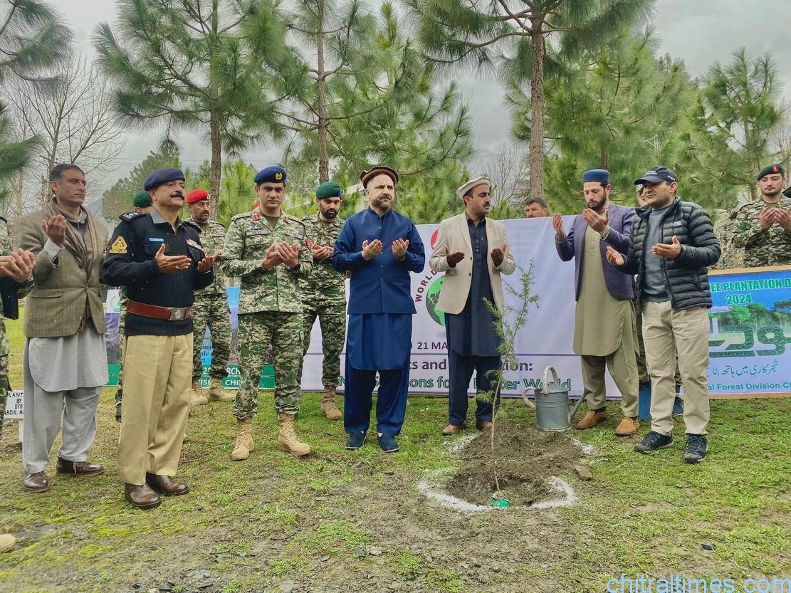 chitraltimes dc comdt and dpo chitral planted a sapling in fcps school 2