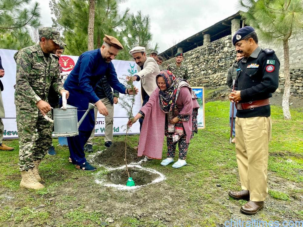 chitraltimes dc comdt and dpo chitral planted a sapling in fcps school 3