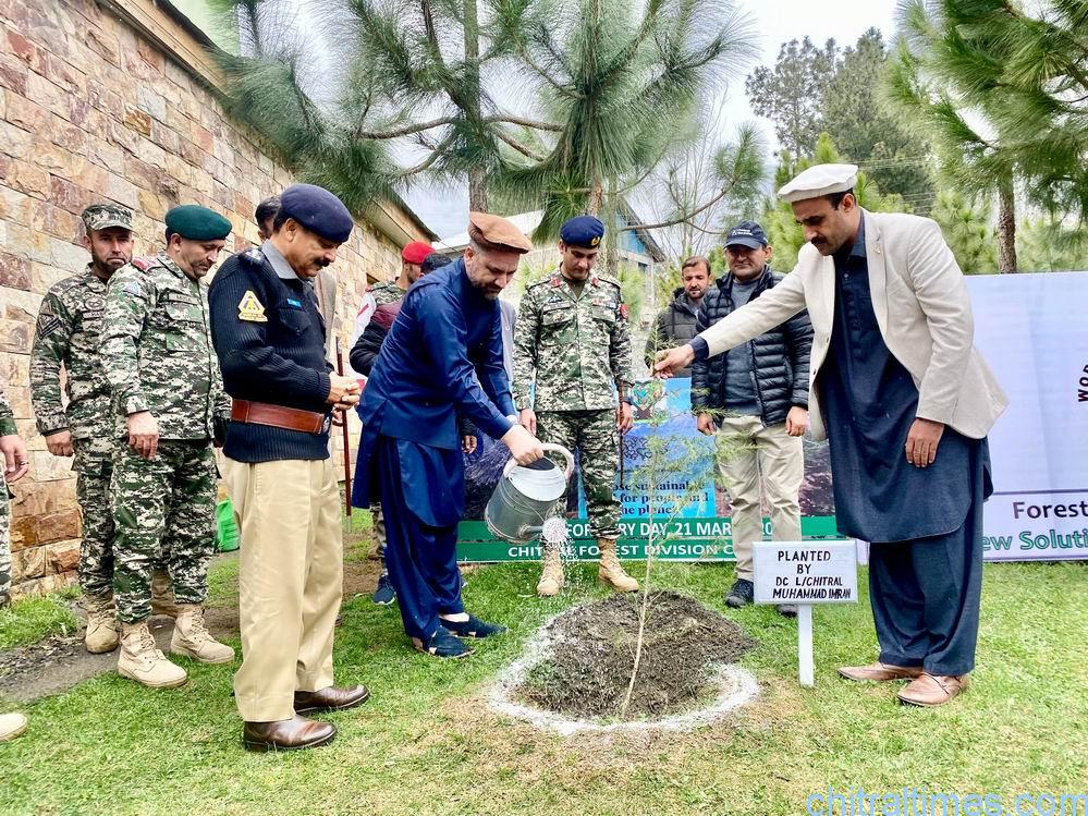 chitraltimes dc comdt and dpo chitral planted a sapling in fcps school 5