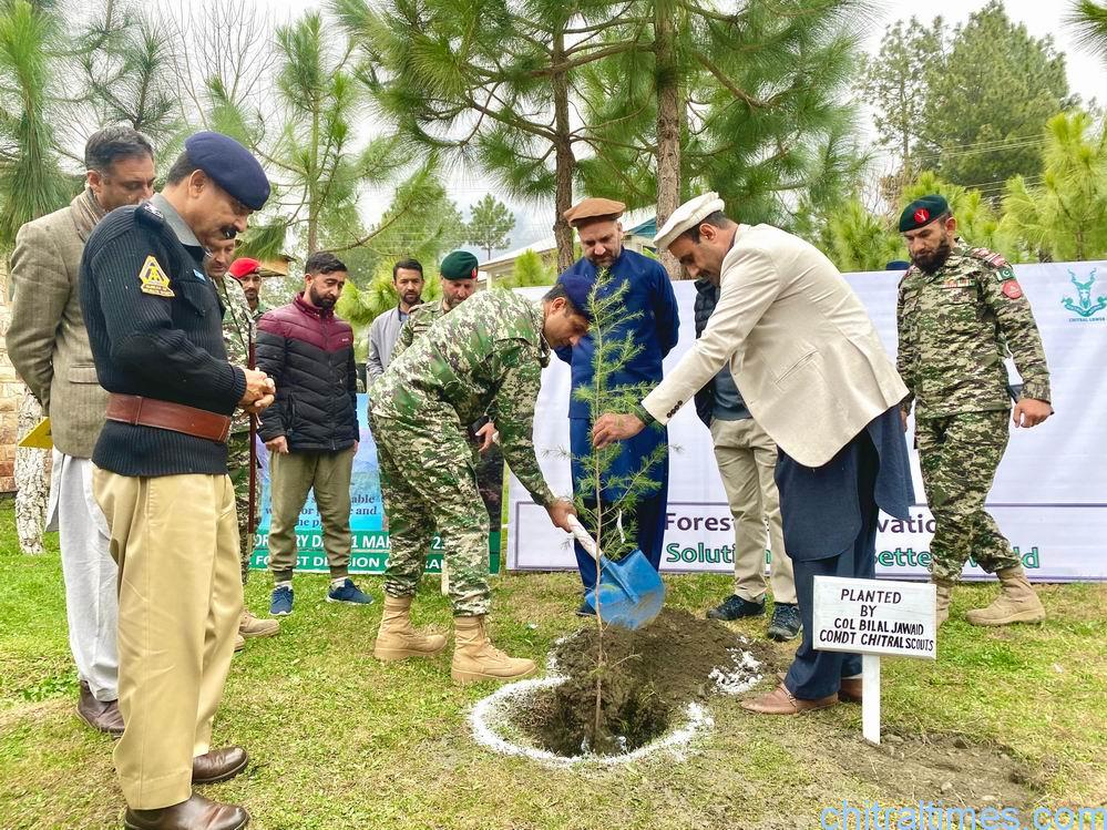 chitraltimes dc comdt and dpo chitral planted a sapling in fcps school 6