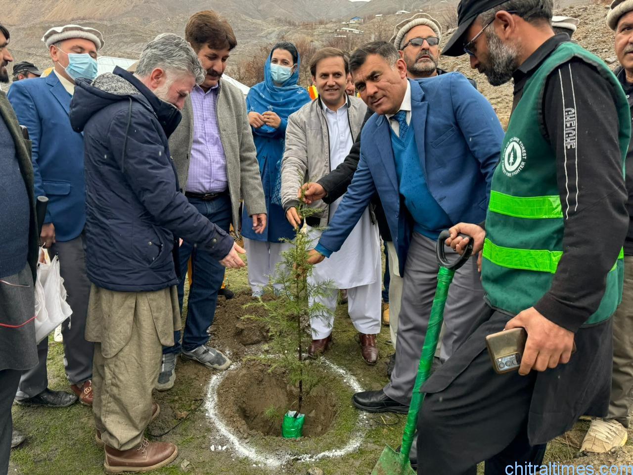 chitraltimes dc upper chitral inagurated plantation campaign akah office upper chitral 3