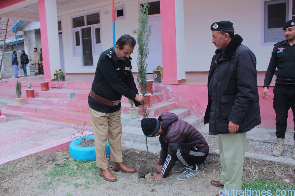 chitraltimes dpo upper chitral inagurated plantation campaign