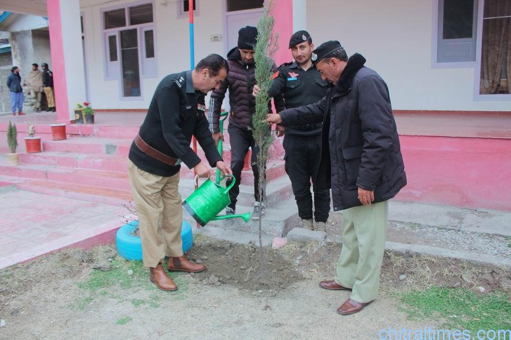 chitraltimes dpo upper chitral inagurated plantation campaign3