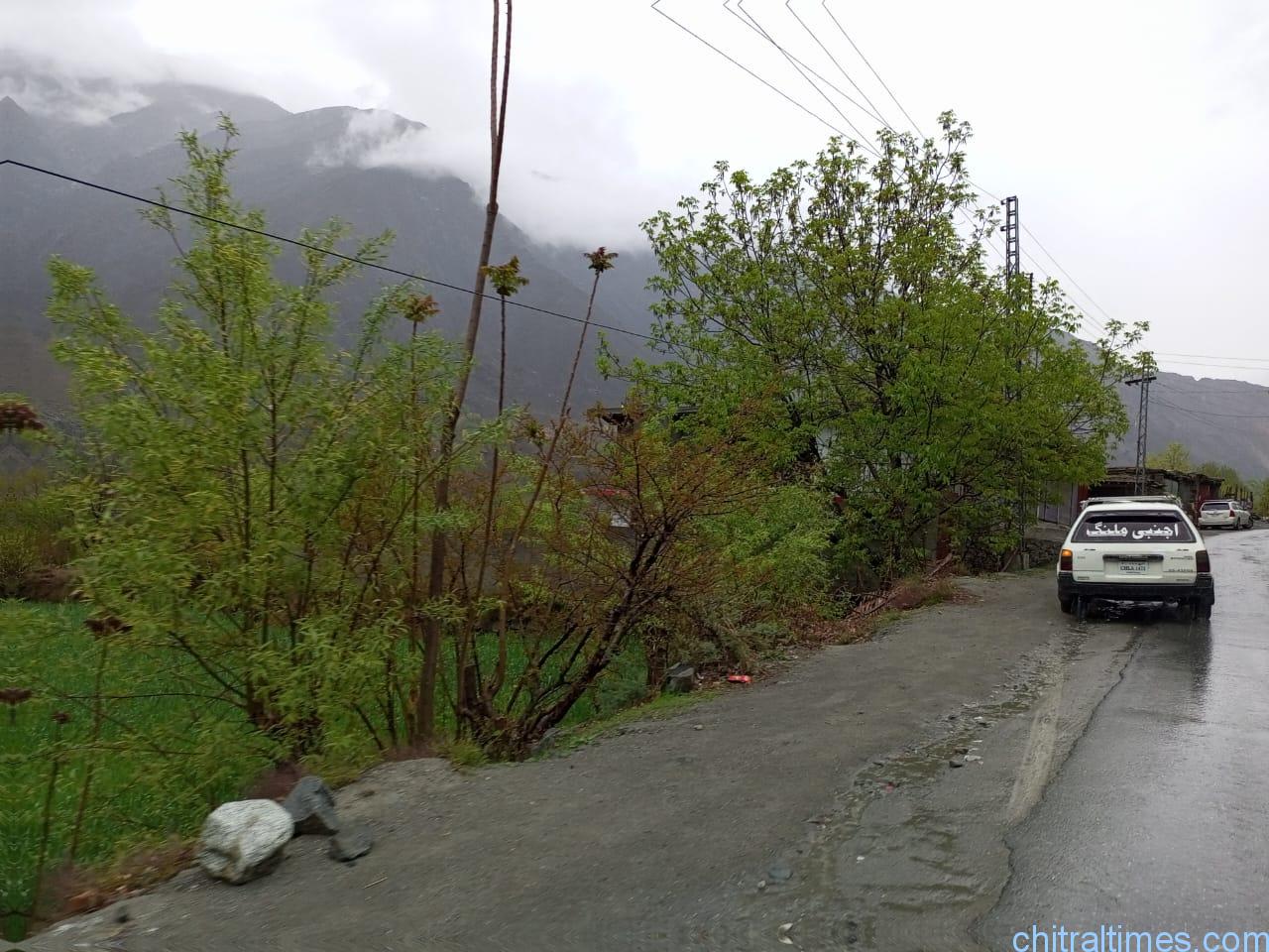 chitraltimes chitral weahter rain chitral booni road 3