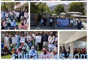 chitraltimes international vaccination day