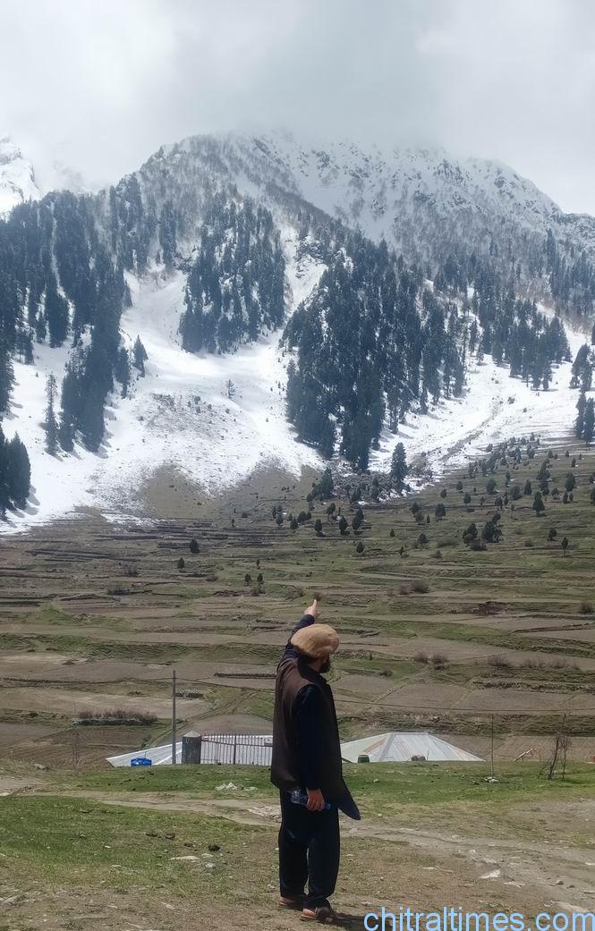 chitraltimes nalter Gilgit baltistan