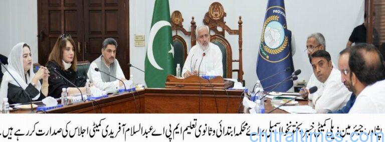 Chairman ES Committee meeting