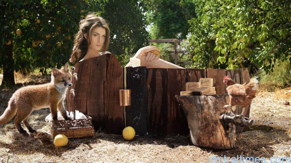 awrat and lomli women and fox in the forest