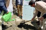 chitaltimes ismaili civic plantation campaign 4