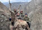 chitraltimes 2nd non exportable markhor trophy hunt by spenish citizen in chitral gol national park buffer zone 3