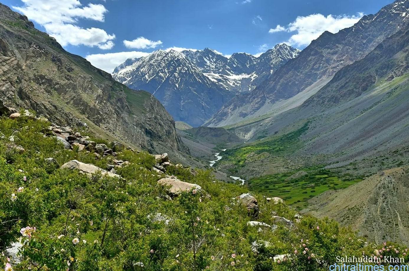 اپرچترال؛ سورلاسپور کی گرمائی چراگاہ بشقرگول میں نامعلوم مسلح افراداور لیویز فورس کے درمیان فائرنگ کا تبادلہ، ایک حملہ آور ہلاک جبکہ دوسرا فرار، تلاش جاری