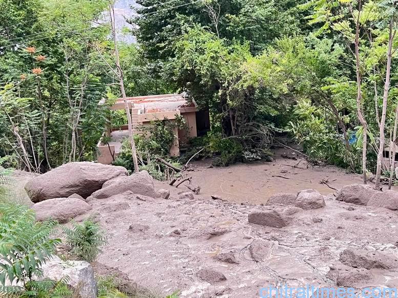 chitraltimes Broze chitral lower flood washed away bridges road and properties 3