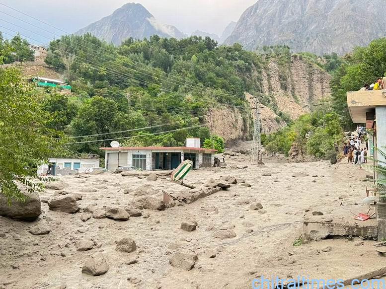 chitraltimes Broze chitral lower flood washed away bridges road and properties 8