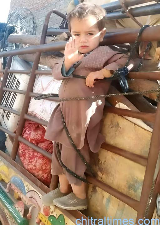 chitraltimes afghan refuges return 1