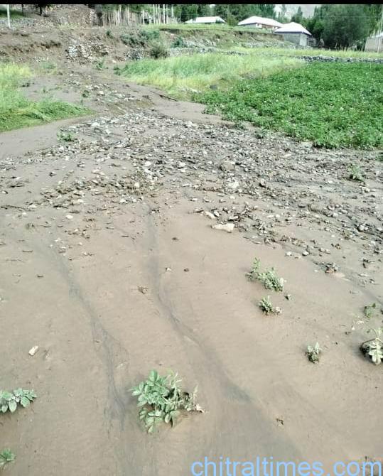 chitraltimes balim laspur flood 1