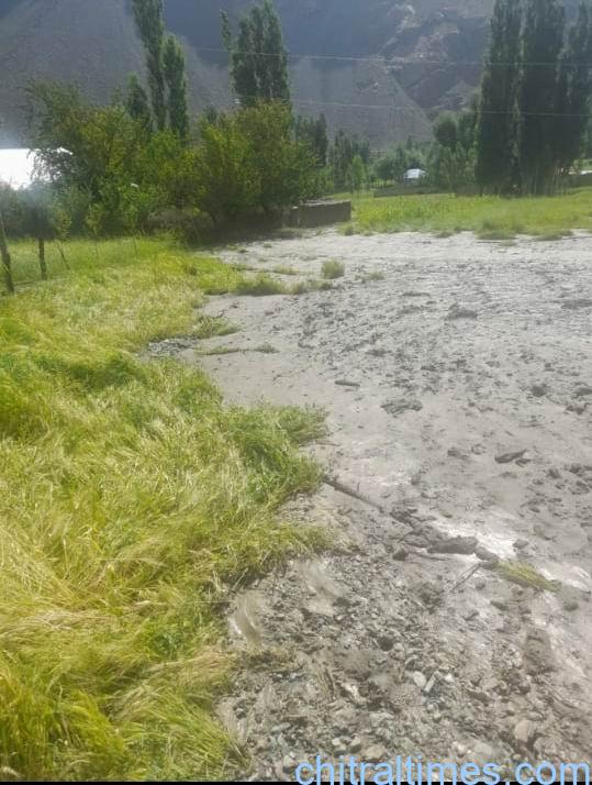 chitraltimes balim laspur flood 2