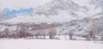 chitraltimes broghil snowfall