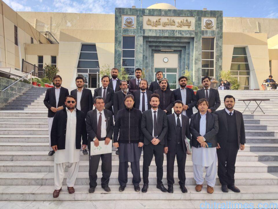 chitraltimes chitral lawyers forum peshawar election 2