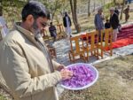 chitraltimes chitral lower zafran kasht 3