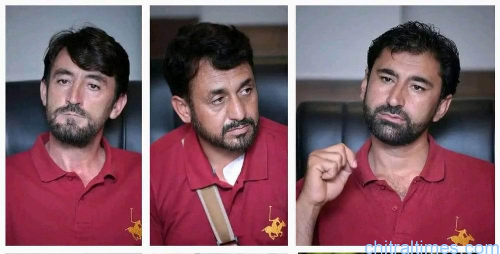 فری اسٹائل پولو: عروج و زوال کی ایک داستان تحریر: شمس الھدیٰ یفتالی